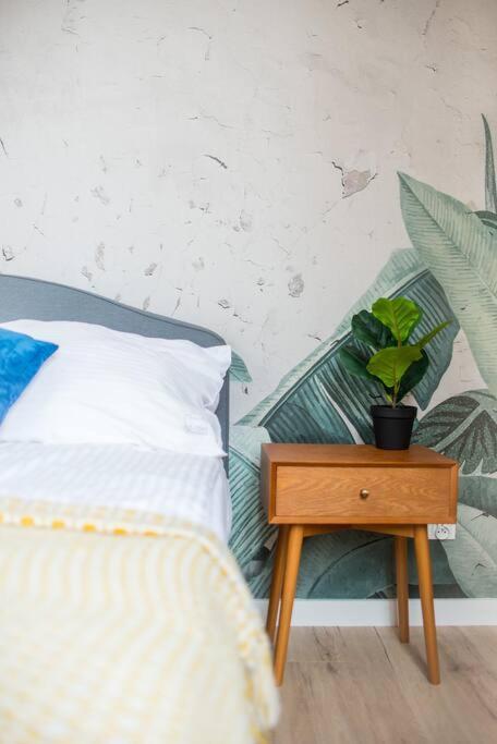 Cozy, Small Studio.Great Location / Mala Kawalerka Στσέτσιν Εξωτερικό φωτογραφία